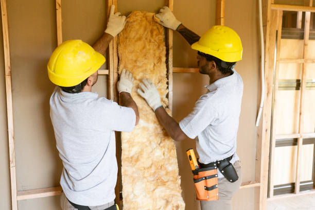 Best Reflective Insulation  in Woodbranch, TX