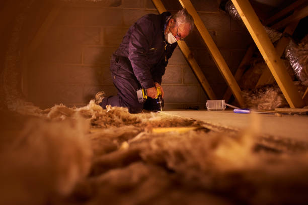 Best Attic Insulation Installation  in Woodbranch, TX